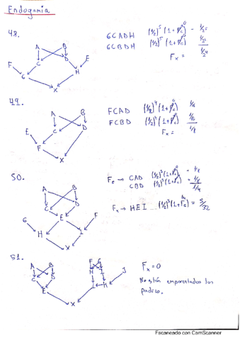 EjerciciosEndogamia.pdf