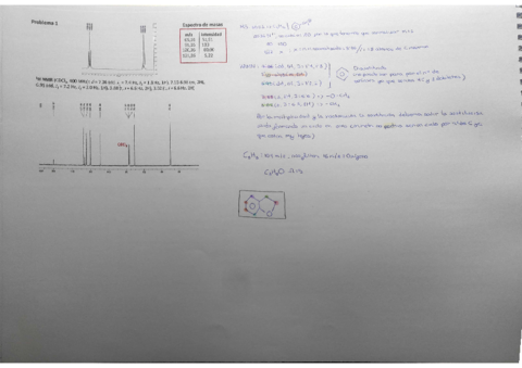 Problemas-comb2.pdf