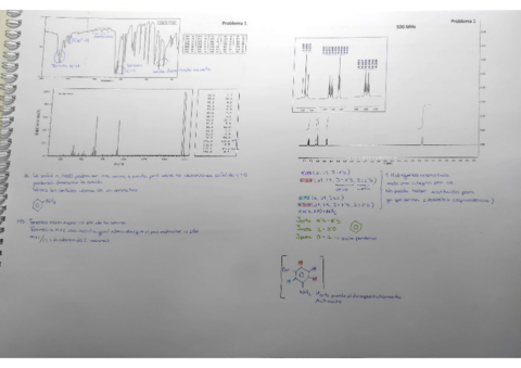 Problemas-comb-1.pdf
