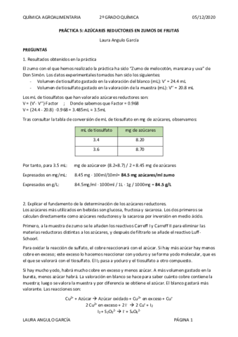 Practicas-Agroalimentaria-Corregidas-por-Maria-.pdf