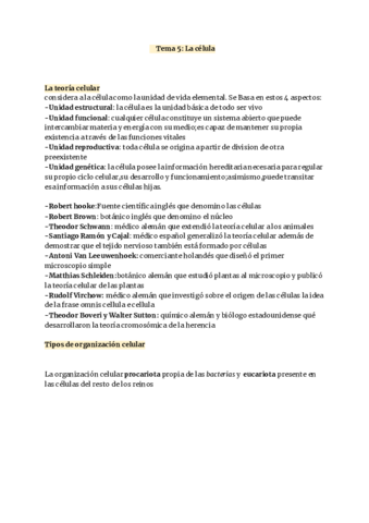 Laura-Sanchez-De-La-Rica-REPASO-1-.pdf