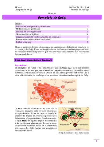 TEMA 11. Complejo de Golgi