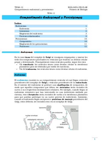 TEMA 12. Endosomas y Peroxisomas