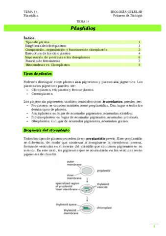 TEMA 14. Plastidios