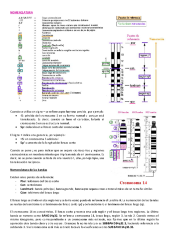 TEMA-1-PARTE-2.pdf