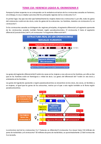 Tema-13A-genetica.pdf