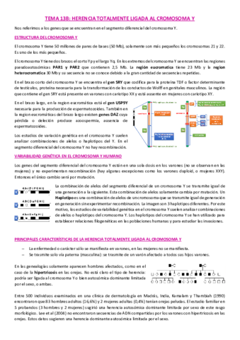 Tema-13B-Genetica.pdf