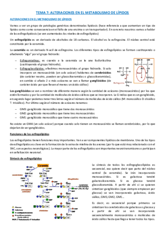 TEMA-7-BQ.pdf
