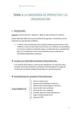 Resumen Proyectos I.pdf