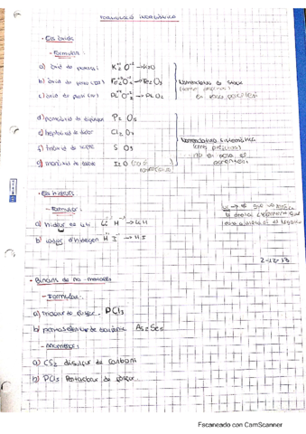 formulacion-inorganica-apunts.pdf