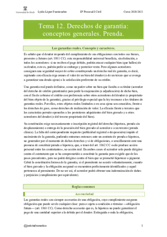 tema-12-civil.pdf