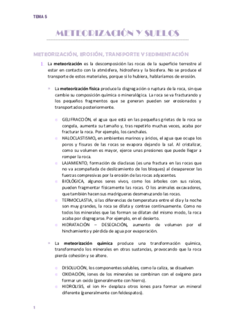 TEMA-5-METEORIZACION-Y-SUELOS.pdf