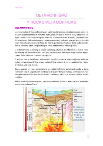 TEMA13.pdf