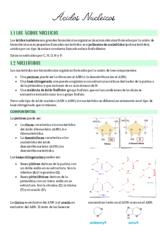 TEMA-2-Acidos-nucleicos-celulas-division-y-parte-de-metabolismo-catabolismo.pdf