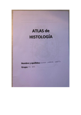 Tema-1-Actividades.pdf