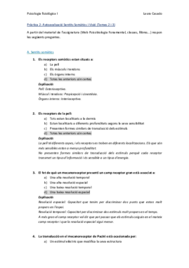 Pràctica 2_Complet.pdf
