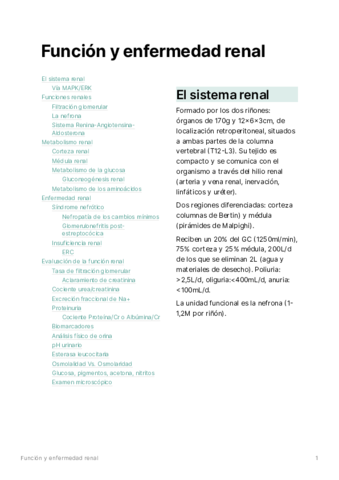 T07-Funcinyenfermedadrenal.pdf