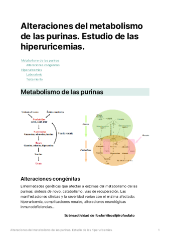 S05-Alteracionesdelmetabolismodelaspurinas.pdf