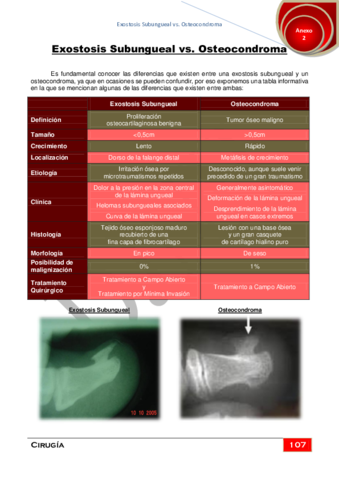 Anexo-2Exostosis-Subungueal-vs.pdf