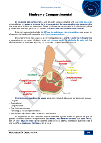 Anexo-1Sindrome-Compartimental.pdf