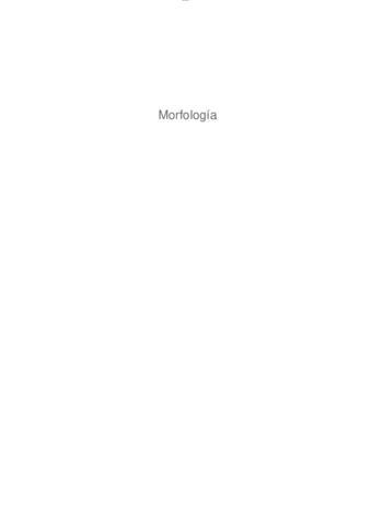 MORFOLOGIA.pdf