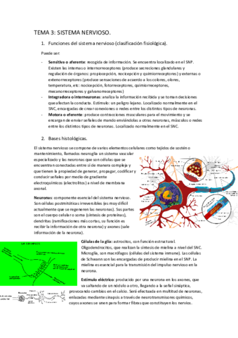 Tema-3-sistema-nervioso.pdf