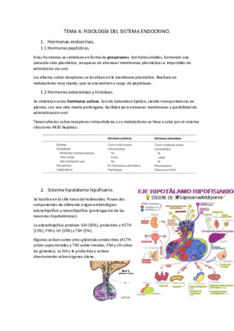 Tema-6-fisiologia-del-sistema-endocrino.pdf