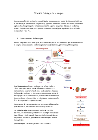 Tema-9-fisiologia-de-la-sangre.pdf