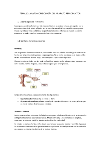 Tema-12-anatomofisiologia-del-aparato-reproductor.pdf