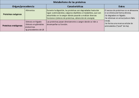 Tabla-metabolismo-Proteinas.pdf