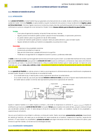 Tema-1-Moldeo-sinterizacion-y-conformado.pdf