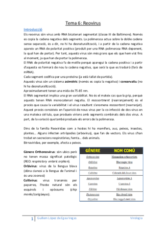 Tema 6 Reovirus.pdf