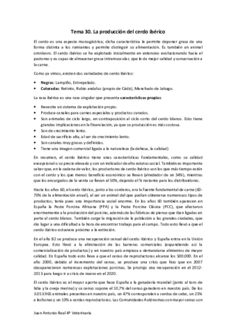 Tema-30.pdf