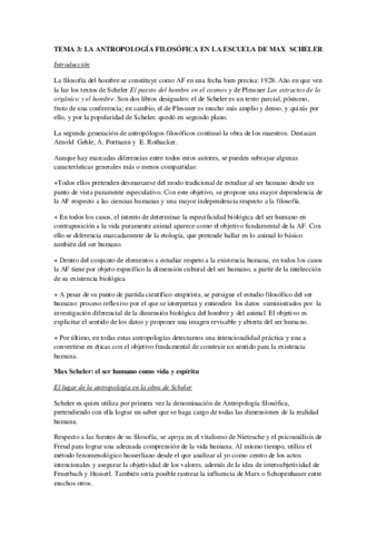 Tema-3-AF.pdf