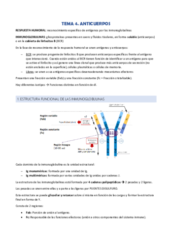 TEMA-4.pdf