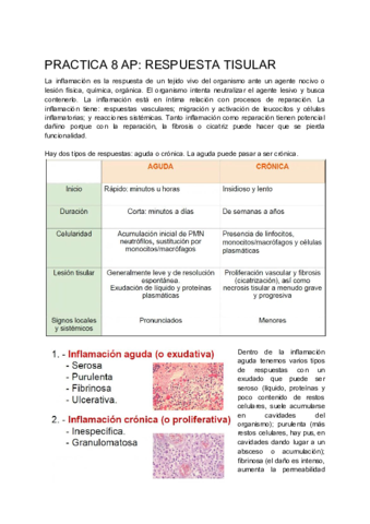 Practica-8.pdf