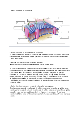 TEMA-2-ACTIVIDAD-1-FPG.pdf