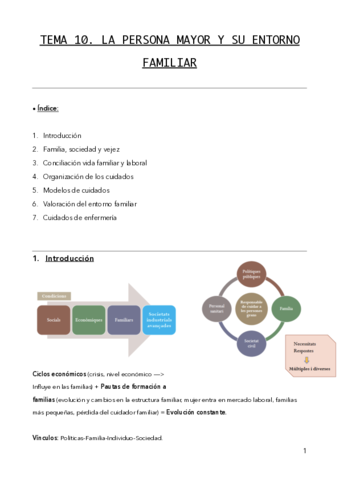 TEMA-10-.pdf