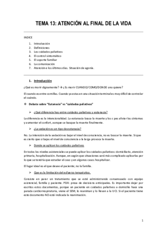 TEMA-13-.pdf