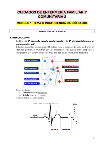 TEMA-6-.pdf