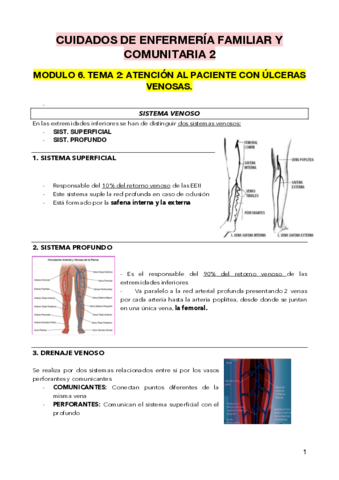 TEMA-12-.pdf