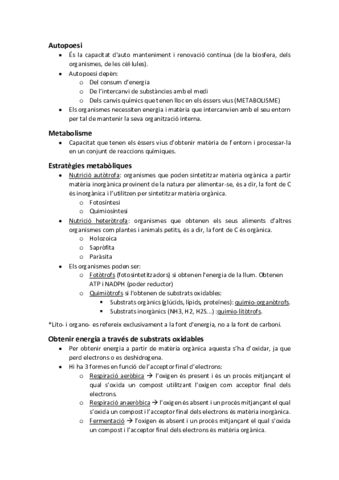 Tipus-metabolismes-etc.pdf
