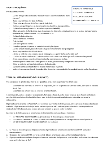 APUNTES-SEGUNDO-PARCIAL.pdf