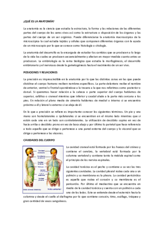 INTRODUCCION.pdf