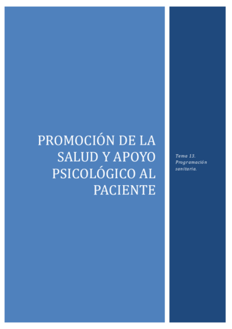 T13-Programacion-sanitaria.pdf