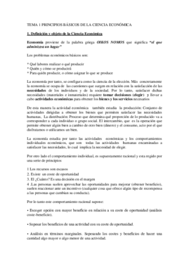 Tema 1Principios Basicos.pdf