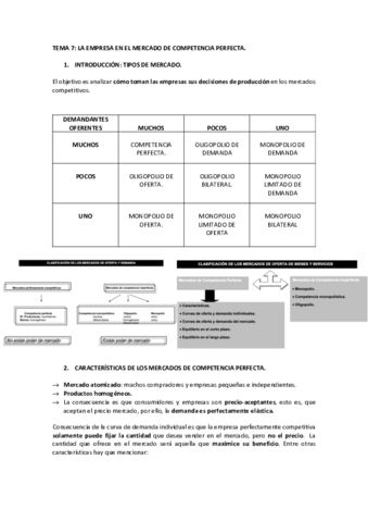 TEMA-7-micro.pdf