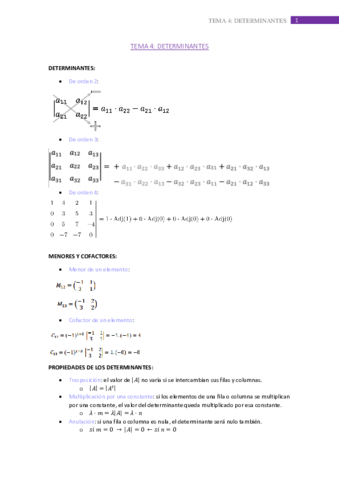 tema-4.pdf