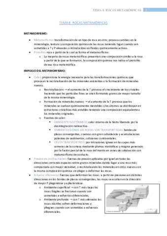 tema-8.pdf
