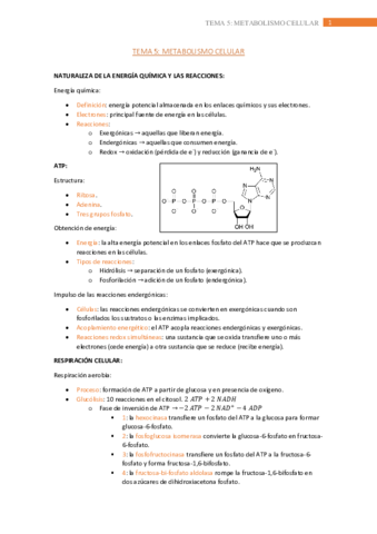 tema-5.pdf